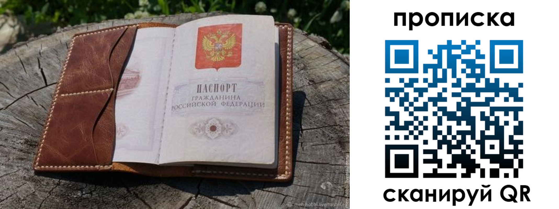 пропишу в квартире в Волгоградской области